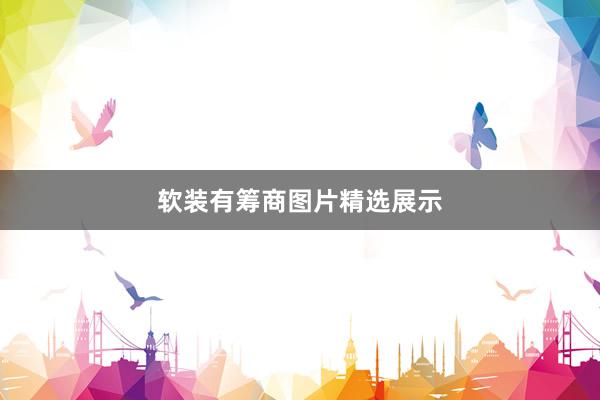 软装有筹商图片精选展示