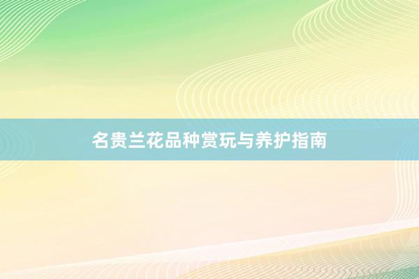 名贵兰花品种赏玩与养护指南