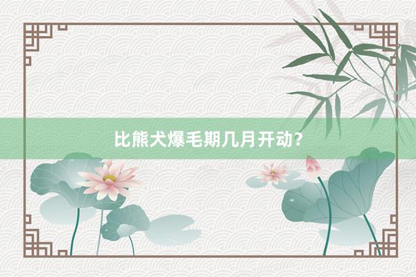 比熊犬爆毛期几月开动?
