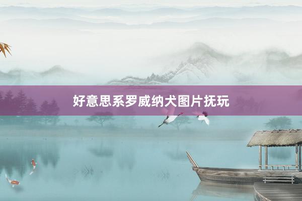 好意思系罗威纳犬图片抚玩